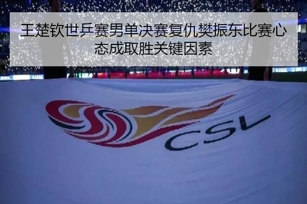 王楚钦世乒赛男单决赛复仇樊振东比赛心态成取胜关键因素