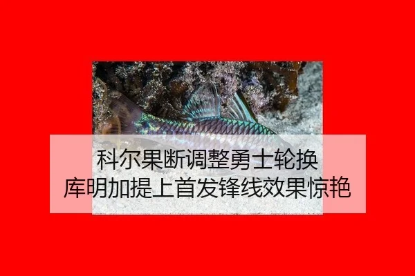 ke-er-guo-duan-tiao-zheng-yong-shi-lun-huan-ku-ming-jia-ti-shang-shou-fa-feng-xian-xiao-guo-jing-yan-2-478.jpg